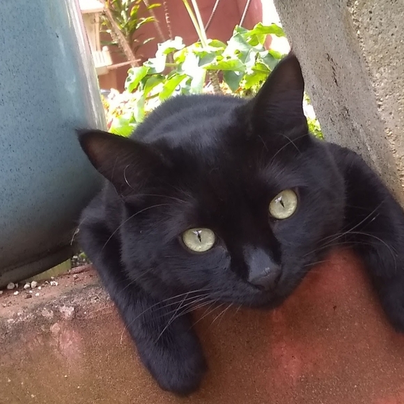 Meet your Posher, Daniel - Picture 8 of 14